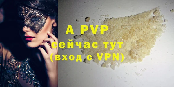 спайс Беломорск