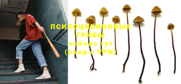 спайс Беломорск